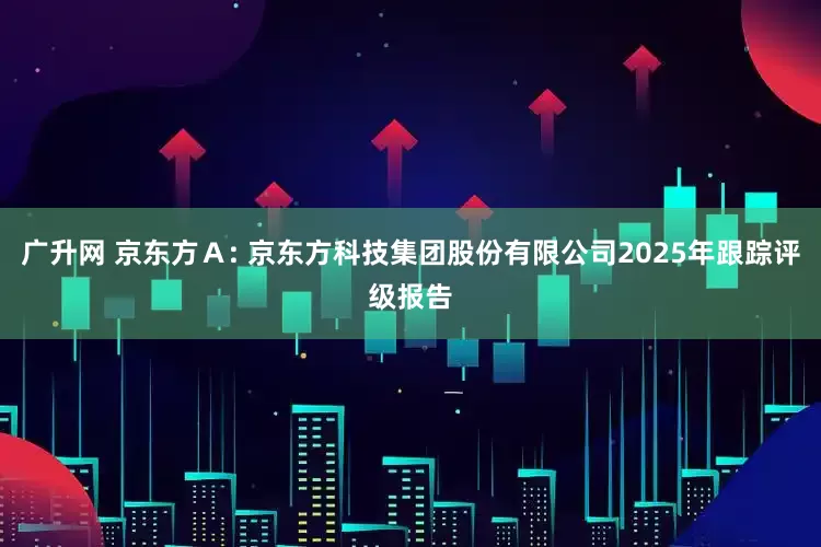 广升网 京东方Ａ: 京东方科技集团股份有限公司2025年跟踪评级报告