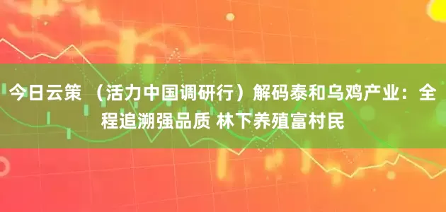 今日云策 （活力中国调研行）解码泰和乌鸡产业：全程追溯强品质 林下养殖富村民