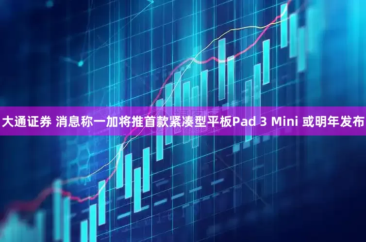 大通证券 消息称一加将推首款紧凑型平板Pad 3 Mini 或明年发布