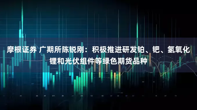 摩根证券 广期所陈锐刚：积极推进研发铂、钯、氢氧化锂和光伏组件等绿色期货品种